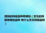 微辣的辣椒品種有哪些（常見(jiàn)的辣椒有哪些品種 有什么常見(jiàn)辣椒品種）
