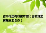 古書堆里有蛀蟲咋整（古書堆里有蛀蟲怎么辦）