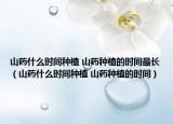 山藥什么時間種植 山藥種植的時間最長（山藥什么時間種植 山藥種植的時間）