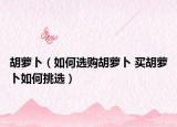 胡蘿卜（如何選購(gòu)胡蘿卜 買胡蘿卜如何挑選）