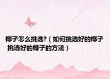 椰子怎么挑選?（如何挑選好的椰子 挑選好的椰子的方法）