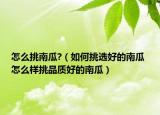 怎么挑南瓜?（如何挑選好的南瓜 怎么樣挑品質(zhì)好的南瓜）