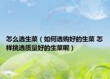 怎么選生菜（如何選購好的生菜 怎樣挑選質(zhì)量好的生菜呢）