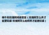 蝸牛和玫瑰樹閱讀答案（玫瑰樹怎么養(yǎng)才能更旺盛 玫瑰樹怎么如何養(yǎng)才能更旺盛）