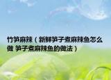 竹筍麻辣（新鮮筍子煮麻辣魚怎么做 筍子煮麻辣魚的做法）