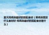 夏天燉雞湯最好的搭配食材（煲雞湯里放什么食材好 燉雞湯最好的搭配食材是什么）