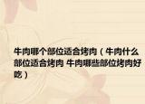 牛肉哪個部位適合烤肉（牛肉什么部位適合烤肉 牛肉哪些部位烤肉好吃）