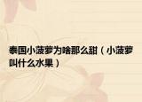 泰國(guó)小菠蘿為啥那么甜（小菠蘿叫什么水果）