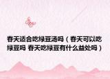 春天適合吃綠豆湯嗎（春天可以吃綠豆嗎 春天吃綠豆有什么益處嗎）