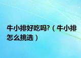 牛小排好吃嗎?（牛小排怎么挑選）