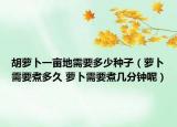 胡蘿卜一畝地需要多少種子（蘿卜需要煮多久 蘿卜需要煮幾分鐘呢）
