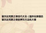 塞爾達(dá)荒野之息技巧大全（國外玩家模仿塞爾達(dá)荒野之息的烹飪方法吃大餐