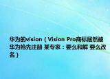 華為的vision（Vision Pro商標(biāo)居然被華為搶先注冊(cè) 某專家：要么和解 要么改名）