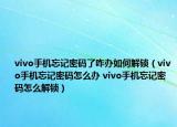 vivo手機(jī)忘記密碼了咋辦如何解鎖（vivo手機(jī)忘記密碼怎么辦 vivo手機(jī)忘記密碼怎么解鎖）
