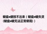 鍵盤a健按不出來（鍵盤a鍵失靈(鍵盤a鍵無法正常使用)）