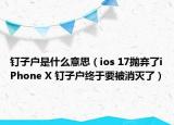 釘子戶是什么意思（ios 17拋棄了iPhone X 釘子戶終于要被消滅了）