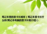 筆記本里的顯卡長啥樣（筆記本顯卡長什么樣(筆記本電腦的顯卡長相介紹)）