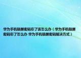 華為手機(jī)鎖屏密碼忘了該怎么辦（華為手機(jī)鎖屏密碼忘了怎么辦 華為手機(jī)鎖屏密碼解決方式）