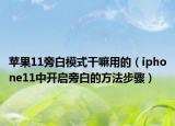 蘋果11旁白模式干嘛用的（iphone11中開啟旁白的方法步驟）