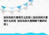 紛玩島和大麥有什么區(qū)別（紛玩島和大麥有什么區(qū)別  紛玩島和大麥網(wǎng)哪個票多好搶）