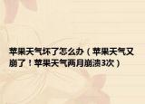 蘋果天氣壞了怎么辦（蘋果天氣又崩了！蘋果天氣兩月崩潰3次）