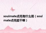soulmate點(diǎn)亮有什么用（soulmate點(diǎn)亮能干嘛）