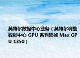 英特爾數(shù)據(jù)中心業(yè)務（英特爾調(diào)整數(shù)據(jù)中心 GPU 系列砍掉 Max GPU 1350）
