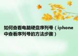 如何查看電腦硬盤序列號（iphone中查看序列號的方法步驟）