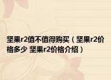 堅果r2值不值得購買（堅果r2價格多少 堅果r2價格介紹）
