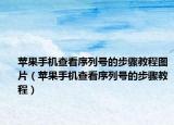 蘋果手機查看序列號的步驟教程圖片（蘋果手機查看序列號的步驟教程）