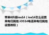 蘋果6升級ios14（ios14怎么設(shè)置來電歸屬地 iOS14電話來電歸屬地設(shè)置教程）