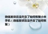 微信發(fā)語音沒聲音了如何恢復(fù)小米手機(jī)（微信發(fā)語音沒聲音了如何恢復(fù)）