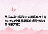 蘋果11怎樣調(diào)節(jié)自動(dòng)屏幕亮度（iphone11中設(shè)置屏幕自動(dòng)調(diào)節(jié)亮度的詳細(xì)步驟）