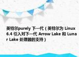 英特爾purely 下一代（英特爾為 Linux 6.4 引入對(duì)下一代 Arrow Lake 和 Lunar Lake 處理器的支持）