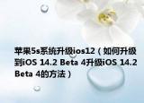 蘋果5s系統(tǒng)升級ios12（如何升級到iOS 14.2 Beta 4升級iOS 14.2 Beta 4的方法）
