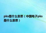 pks是什么意思（中國電子pks是什么意思）