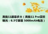 真我11屏幕多大（真我11 Pro諜照曝光：6.3寸屏幕 5000mAh電池）
