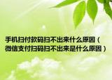 手機掃付款碼掃不出來什么原因（微信支付掃碼掃不出來是什么原因）