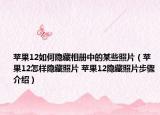 蘋果12如何隱藏相冊中的某些照片（蘋果12怎樣隱藏照片 蘋果12隱藏照片步驟介紹）