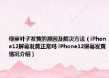綠蘿葉子發(fā)黃的原因及解決方法（iPhone12屏幕發(fā)黃正常嗎 iPhone12屏幕發(fā)黃情況介紹）