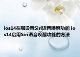 ios14在哪設(shè)置Siri語音喚醒功能 ios14啟用Siri語音喚醒功能的方法