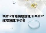 蘋果12蜂窩數(shù)據(jù)如何打開蘋果12蜂窩數(shù)據(jù)打開步驟