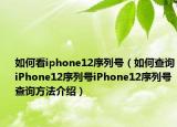 如何看iphone12序列號（如何查詢iPhone12序列號iPhone12序列號查詢方法介紹）
