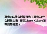 真我v11什么時(shí)候開(kāi)售（真我11什么時(shí)候上市  真我11pro /11pro發(fā)布日期確定）
