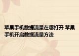 蘋果手機數(shù)據(jù)流量在哪打開 蘋果手機開啟數(shù)據(jù)流量方法