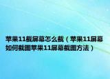 蘋果11截屏幕怎么截（蘋果11屏幕如何截圖蘋果11屏幕截圖方法）