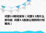 鴻蒙3.0即將發(fā)布（鴻蒙3.1有什么新功能  鴻蒙3.1推送公測(cè)時(shí)間計(jì)劃曝光）