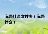 iis是什么文件夾（iis是什么）