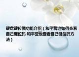 鍵盤鍵位圖功能介紹（和平營地如何查看自己鍵位碼 和平營地查看自己鍵位碼方法）