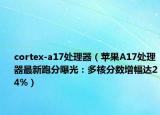 cortex-a17處理器（蘋果A17處理器最新跑分曝光：多核分?jǐn)?shù)增幅達(dá)24%）